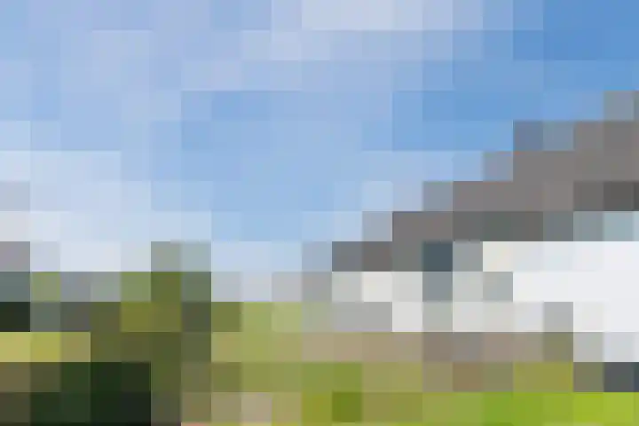 Knibbelweg 17 Zevenhuizen thumbnail 26