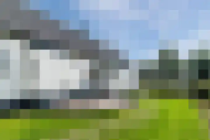 Knibbelweg 17 Zevenhuizen thumbnail 29