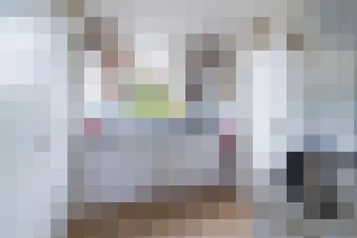 Knibbelweg 17 Zevenhuizen thumbnail 34
