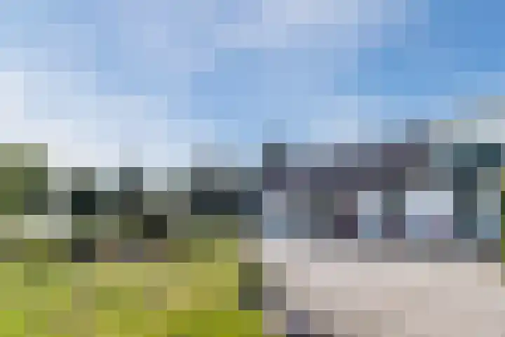 Knibbelweg 17 Zevenhuizen thumbnail 4