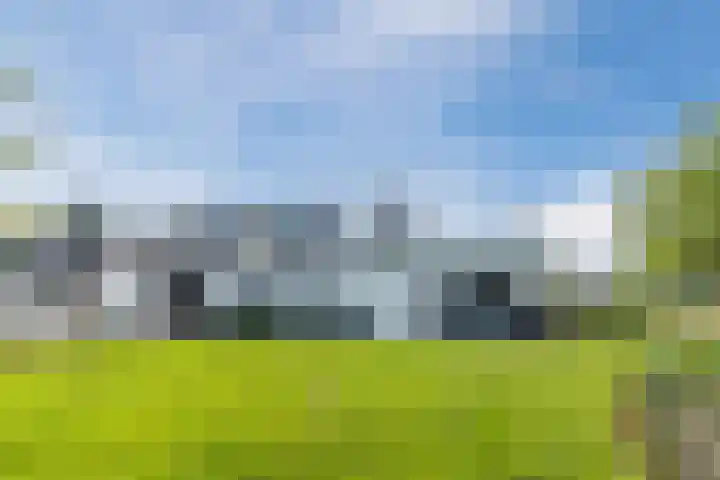 Knibbelweg 17 Zevenhuizen thumbnail 5