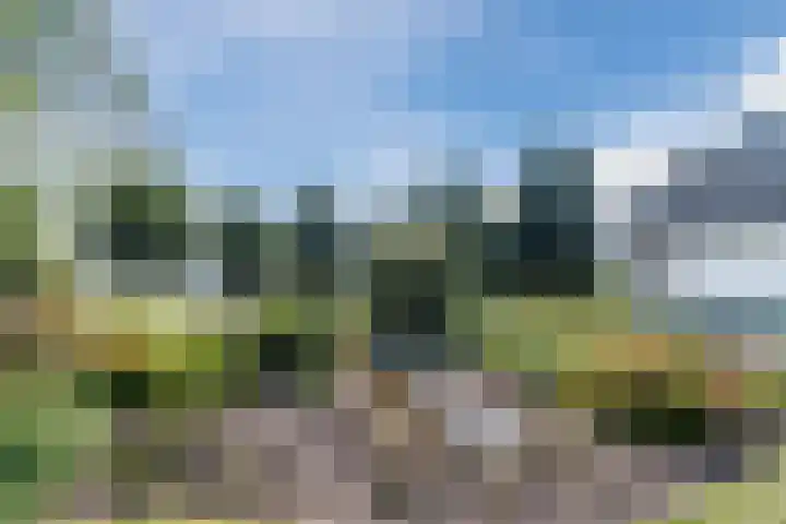 Knibbelweg 17 Zevenhuizen thumbnail 6