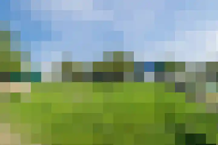 Knibbelweg 17 Zevenhuizen thumbnail 64