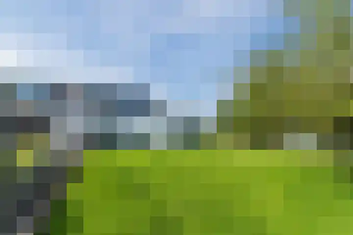 Knibbelweg 17 Zevenhuizen thumbnail 65