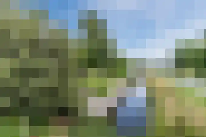 Knibbelweg 17 Zevenhuizen thumbnail 7