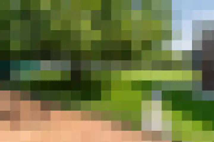 Knibbelweg 17 Zevenhuizen thumbnail 70