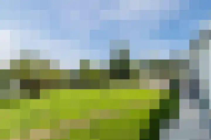 Knibbelweg 17 Zevenhuizen thumbnail 71