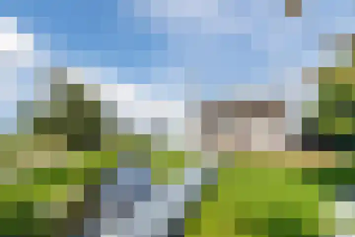 Knibbelweg 17 Zevenhuizen thumbnail 72