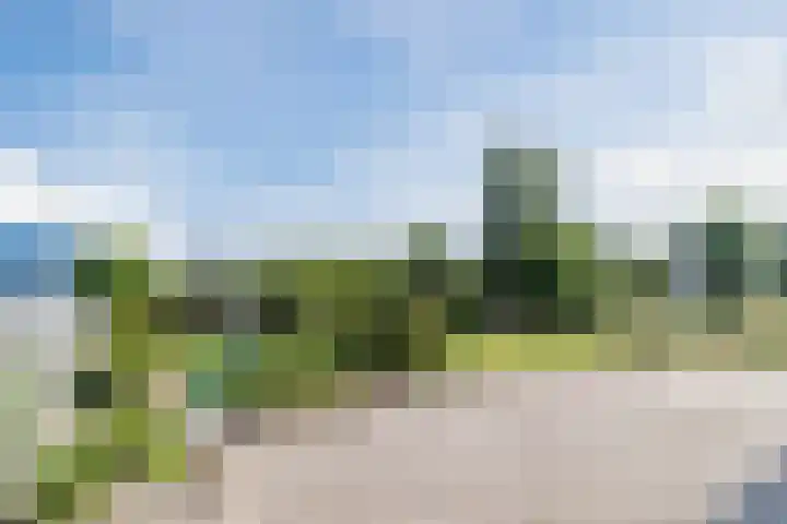 Knibbelweg 17 Zevenhuizen thumbnail 76