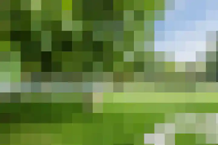Knibbelweg 17 Zevenhuizen thumbnail 8