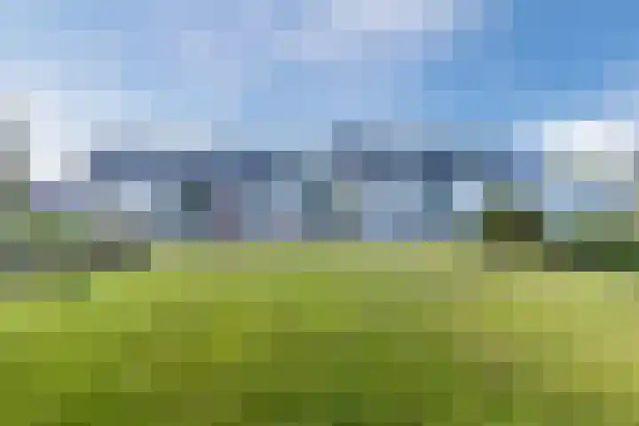 Knibbelweg 17 Zevenhuizen thumbnail 9