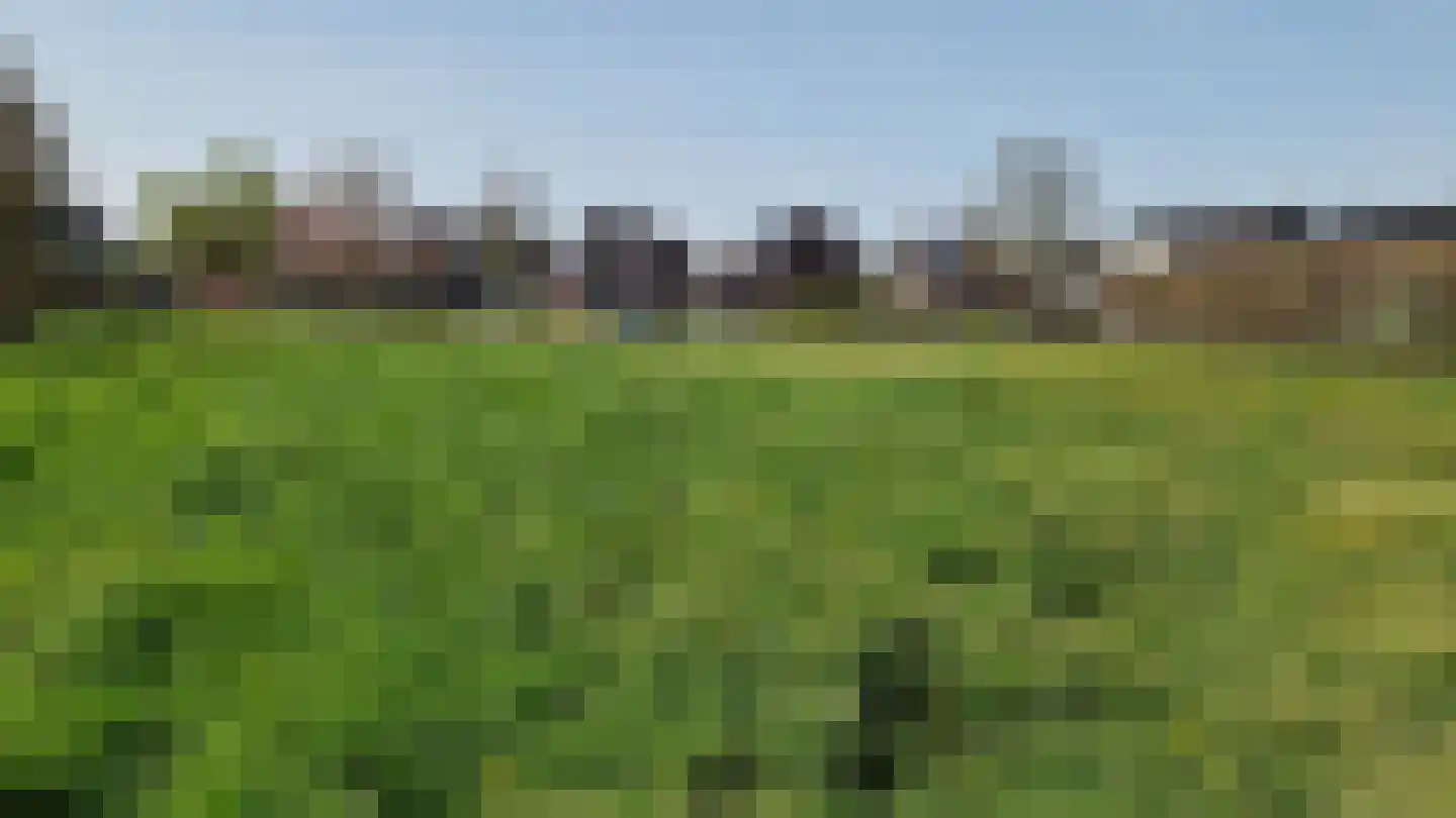 Knibbelweg Zevenhuizen thumbnail 6