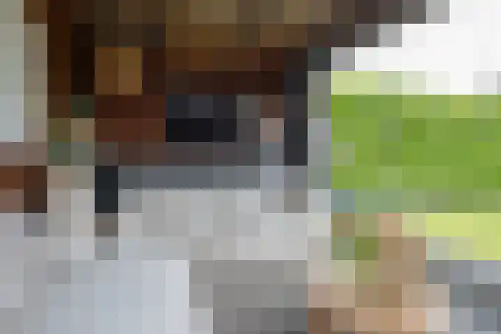 Knibbelweide 36 Aalten thumbnail 37