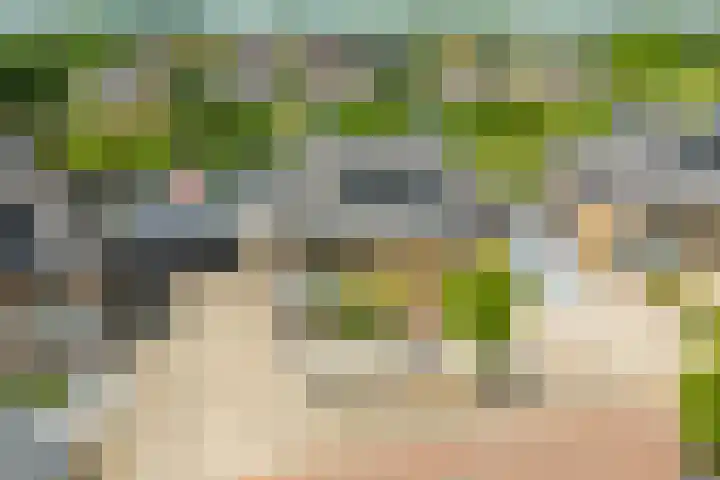 Knibbelweide 36 Aalten thumbnail 40