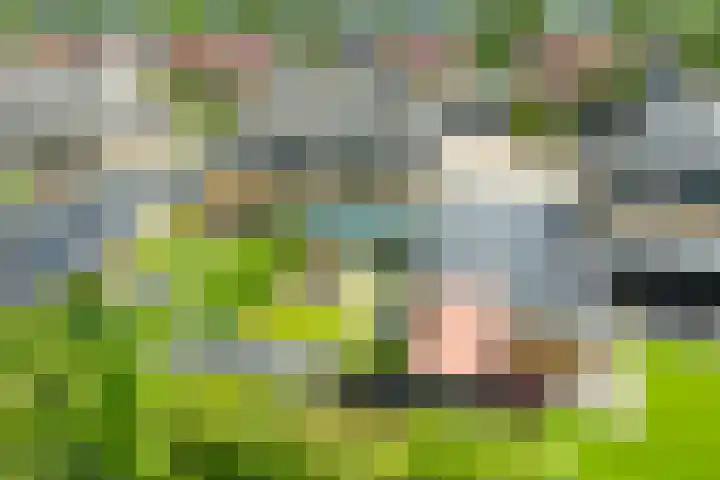 Knibbelweide 36 Aalten thumbnail 41