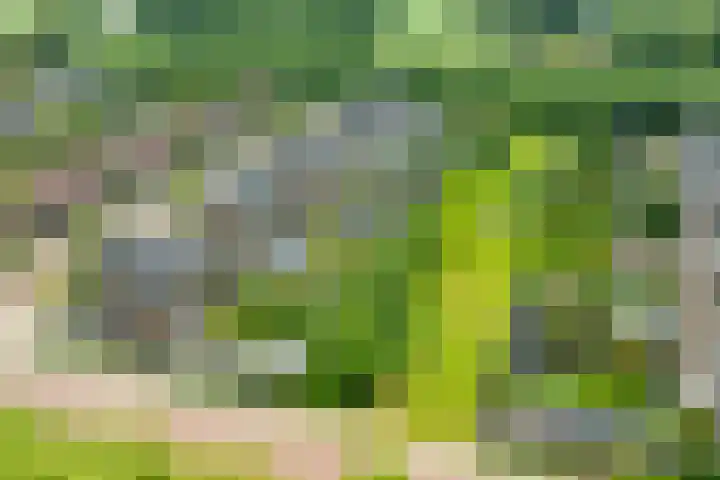 Knibbelweide 36 Aalten thumbnail 42