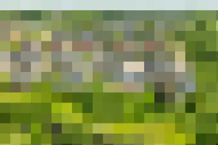 Knibbelweide 36 Aalten thumbnail 44