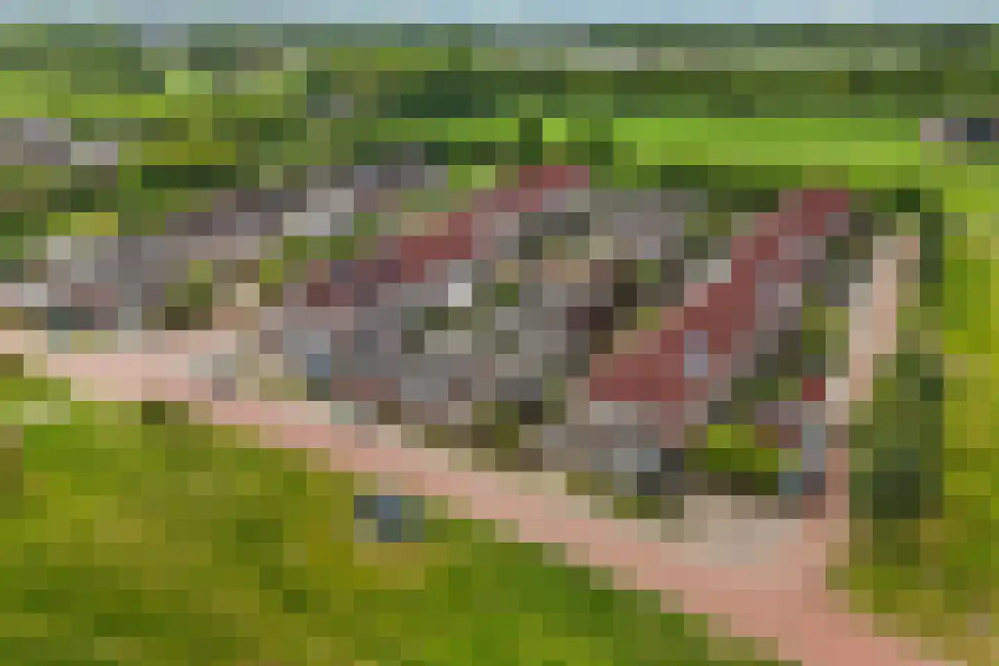 Knibbelweide 61 Aalten thumbnail 31