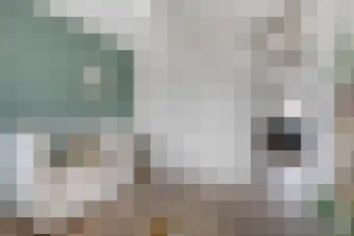 Knibbelweide 66 Aalten thumbnail 35