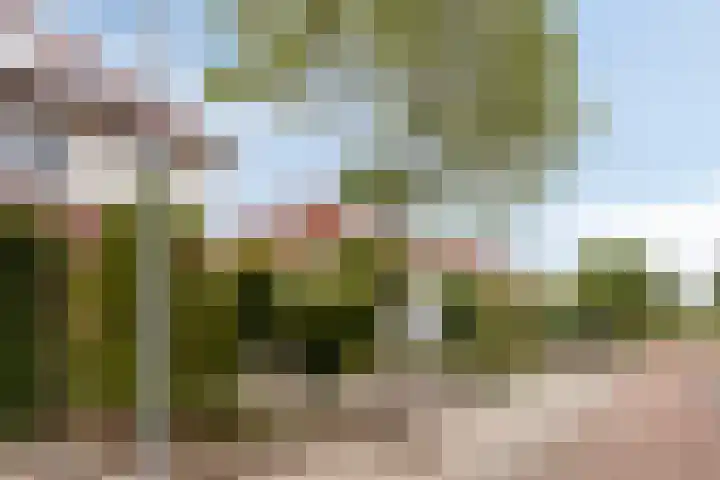 Knibbelweide 66 Aalten thumbnail 4
