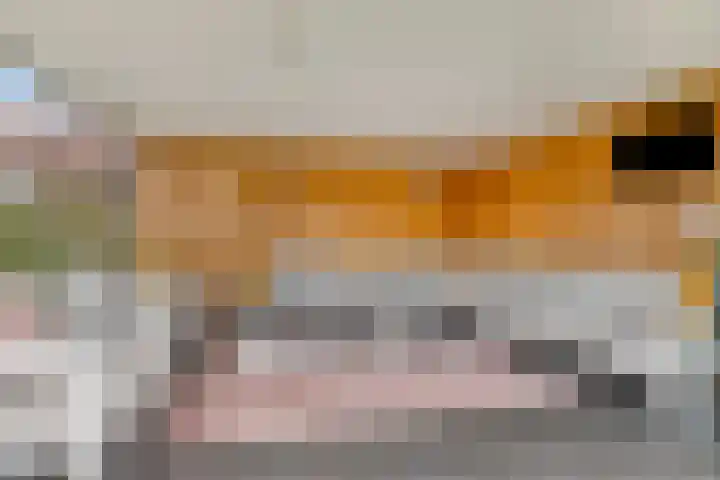Knibbelweide 66 Aalten thumbnail 44