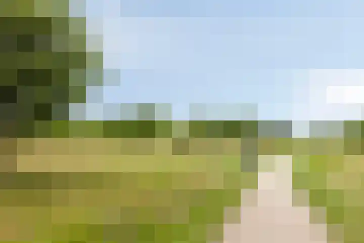 Knibbelweide 66 Aalten thumbnail 48