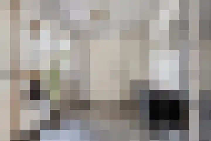 Knibbelweide 66 Aalten thumbnail 9