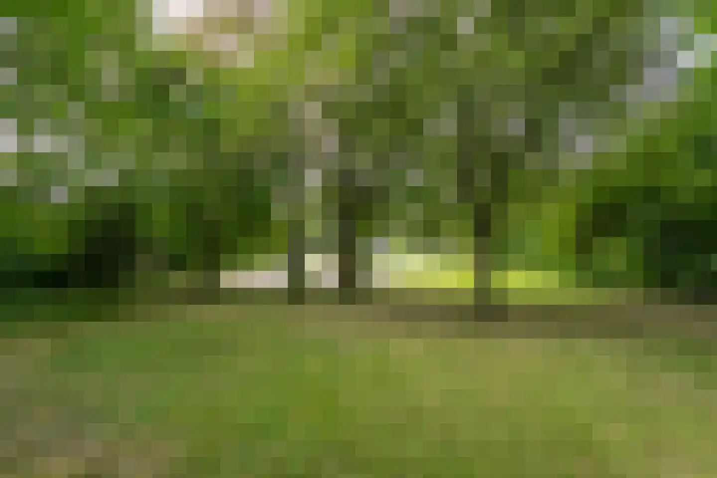Knieberglaan 15 Landgraaf thumbnail 31
