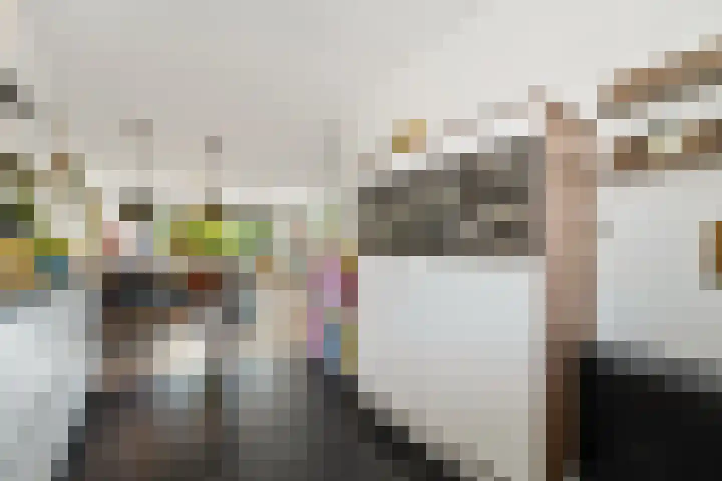 Kniekas 7 Delft thumbnail 13