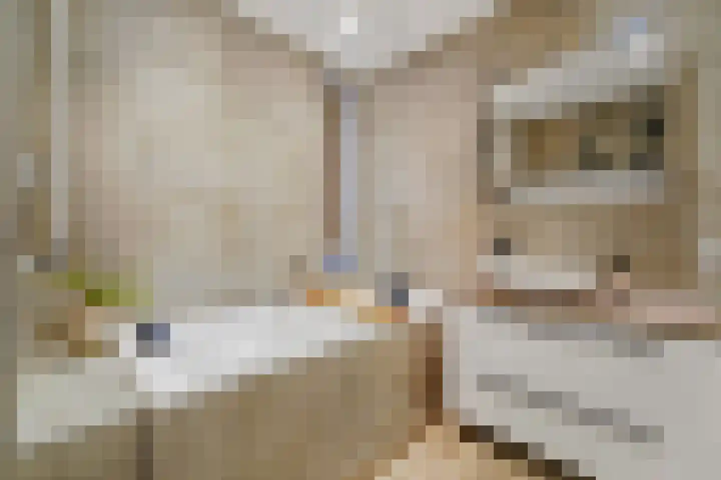 Kniekas 7 Delft thumbnail 29