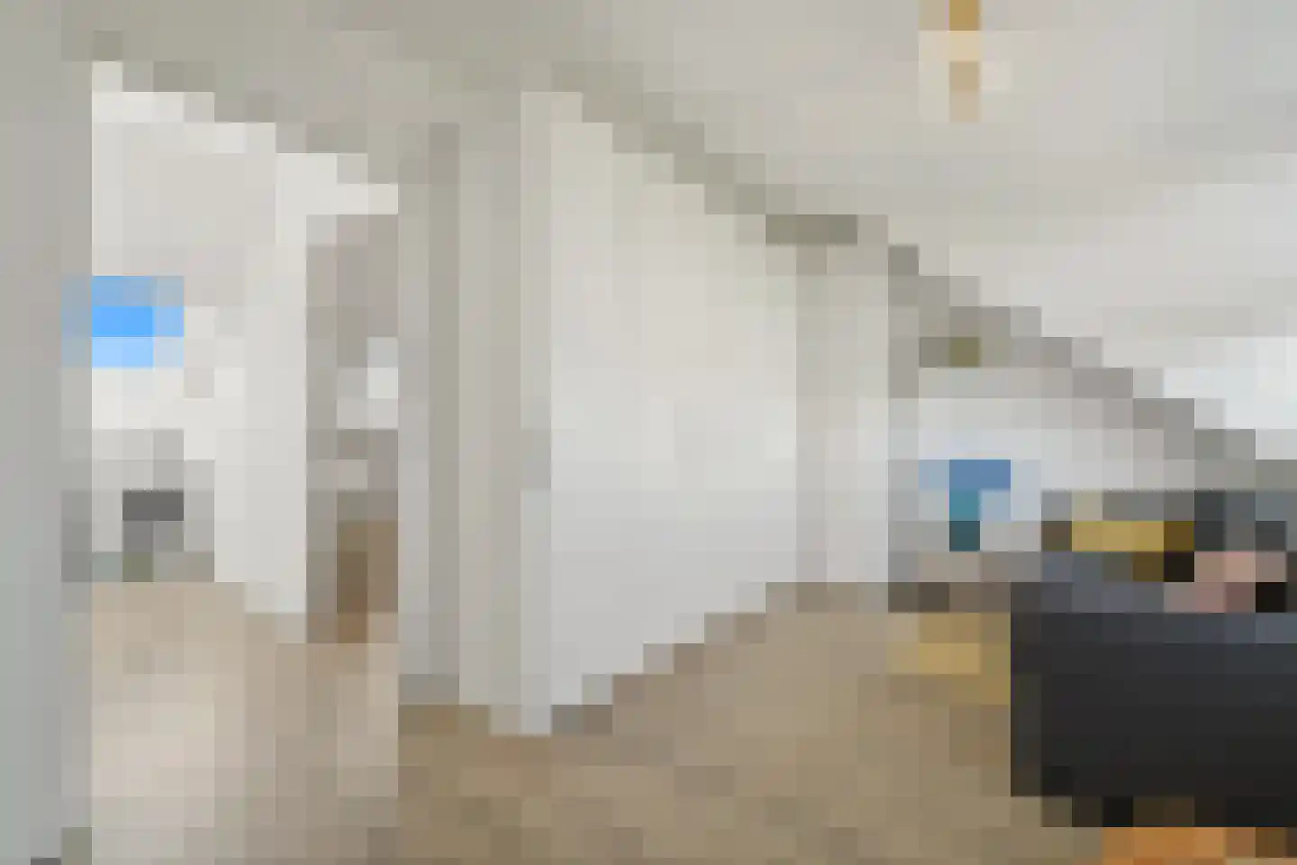 Kniekas 7 Delft thumbnail 8