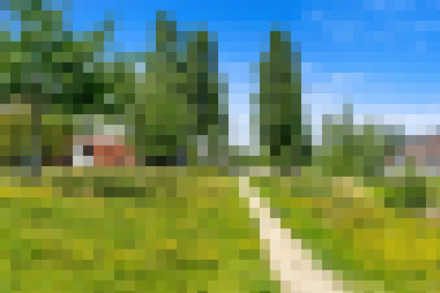 Kniekas 7 Delft thumbnail 44