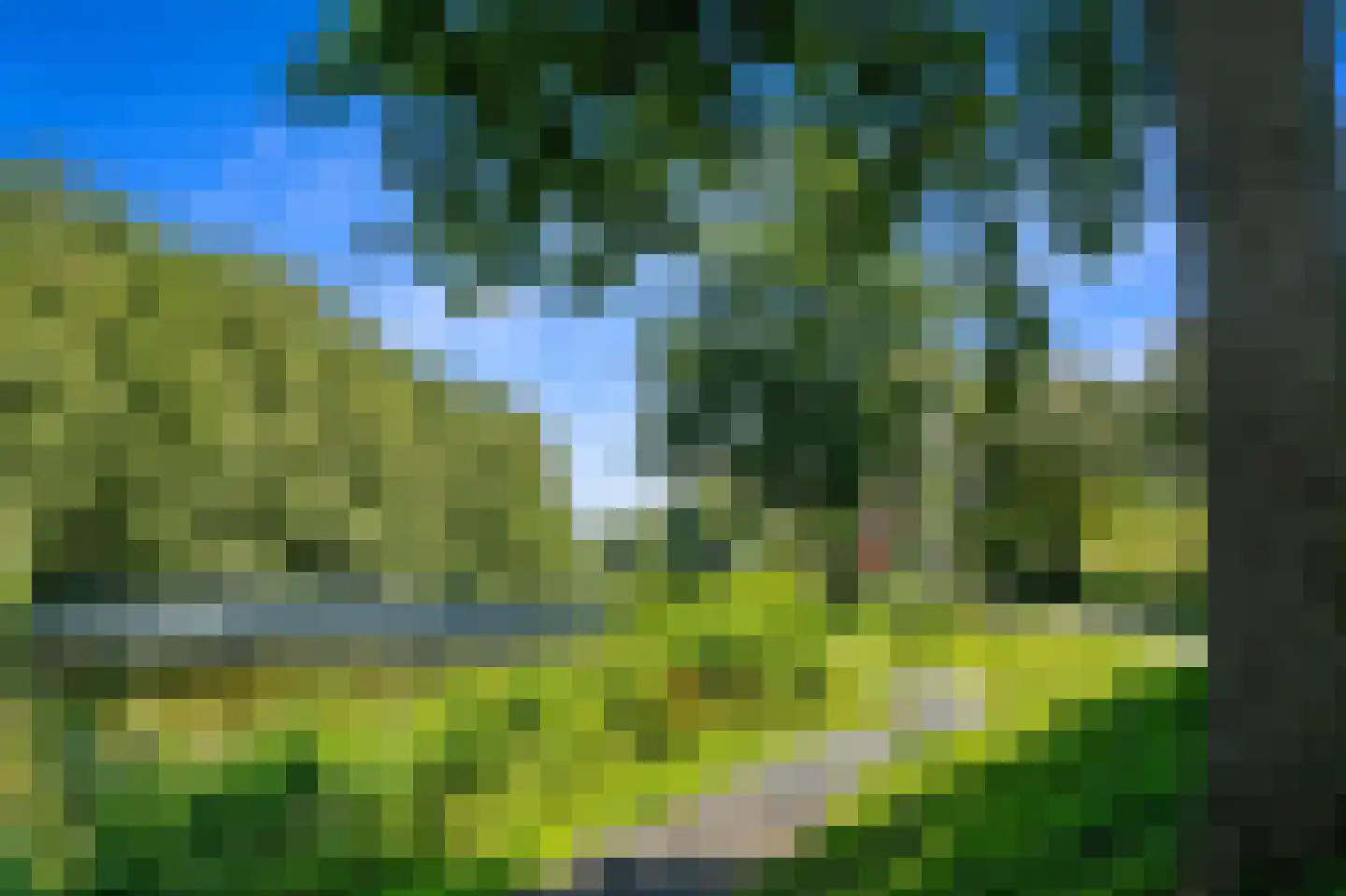 Kniekas 7 Delft thumbnail 45