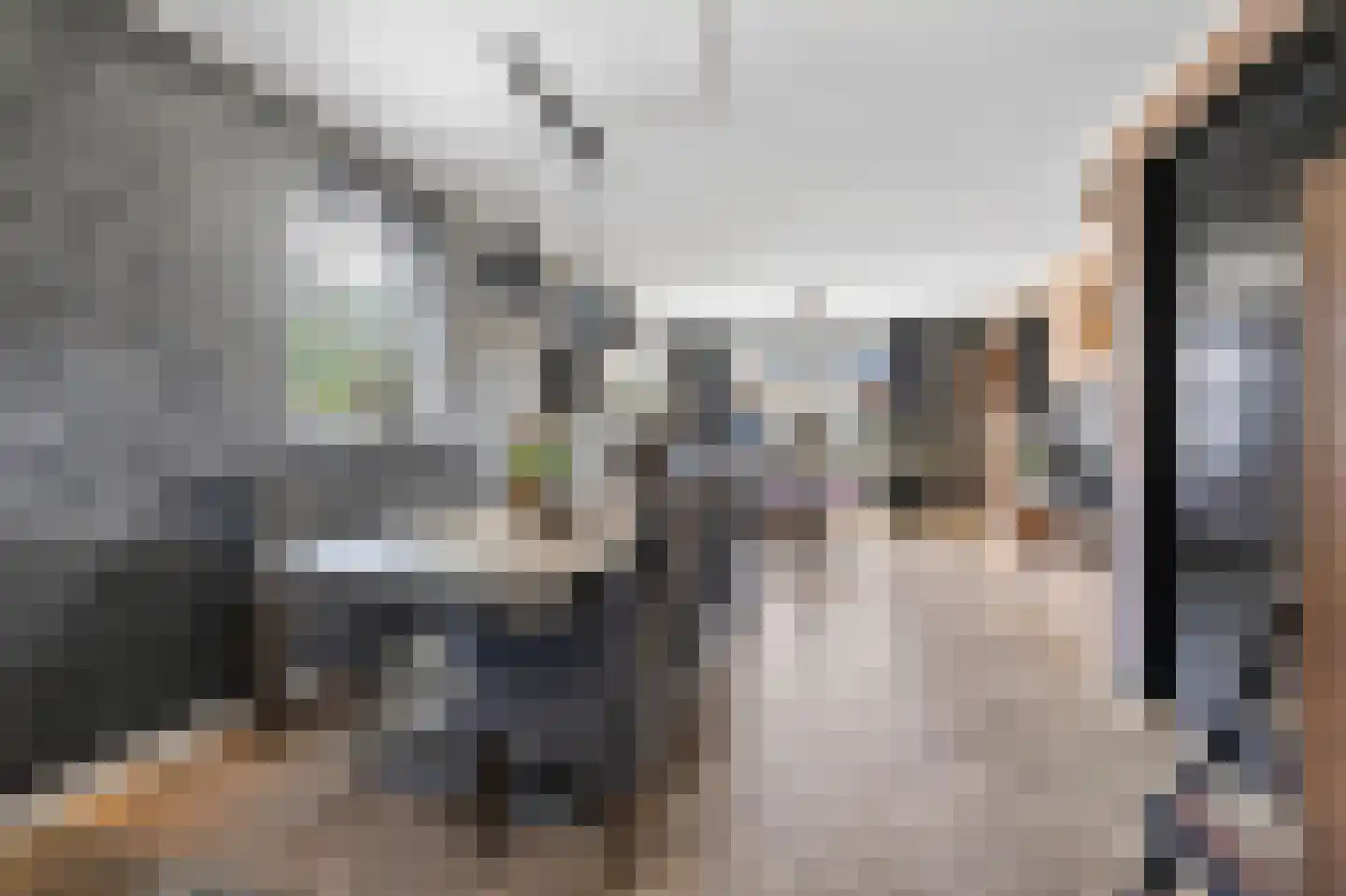 Kniepveen 7 Zwartemeer thumbnail 10