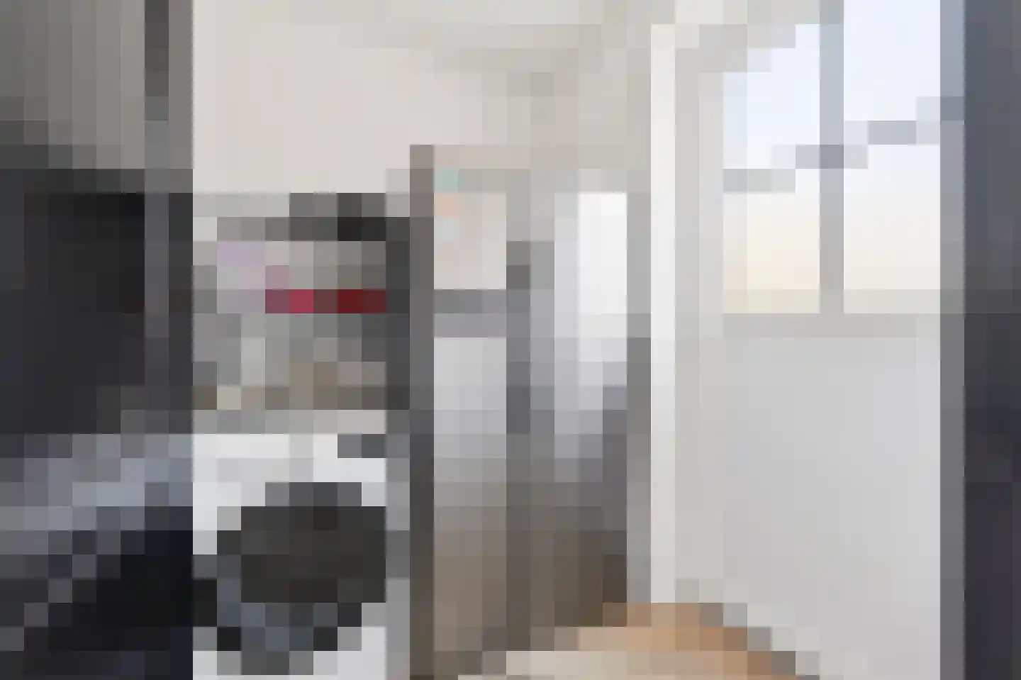 Kniepveen 7 Zwartemeer thumbnail 15