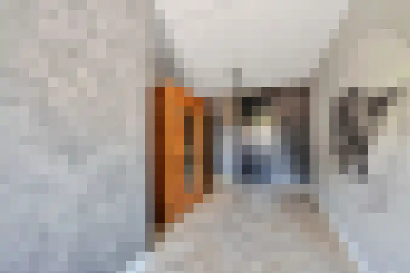 Kniepveen 7 Zwartemeer thumbnail 17