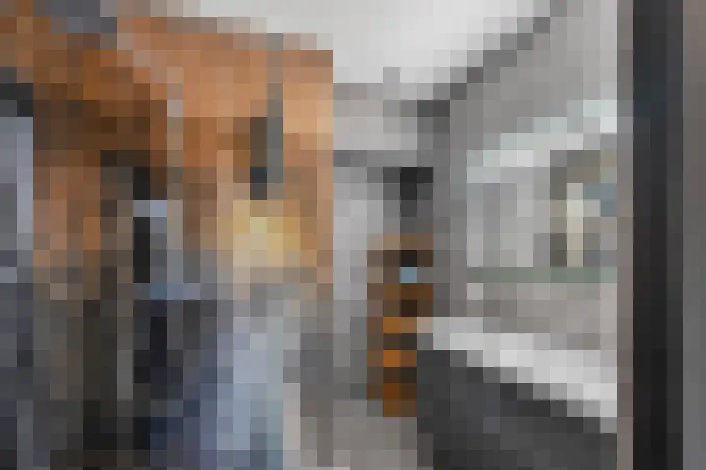 Kniepveen 7 Zwartemeer thumbnail 18