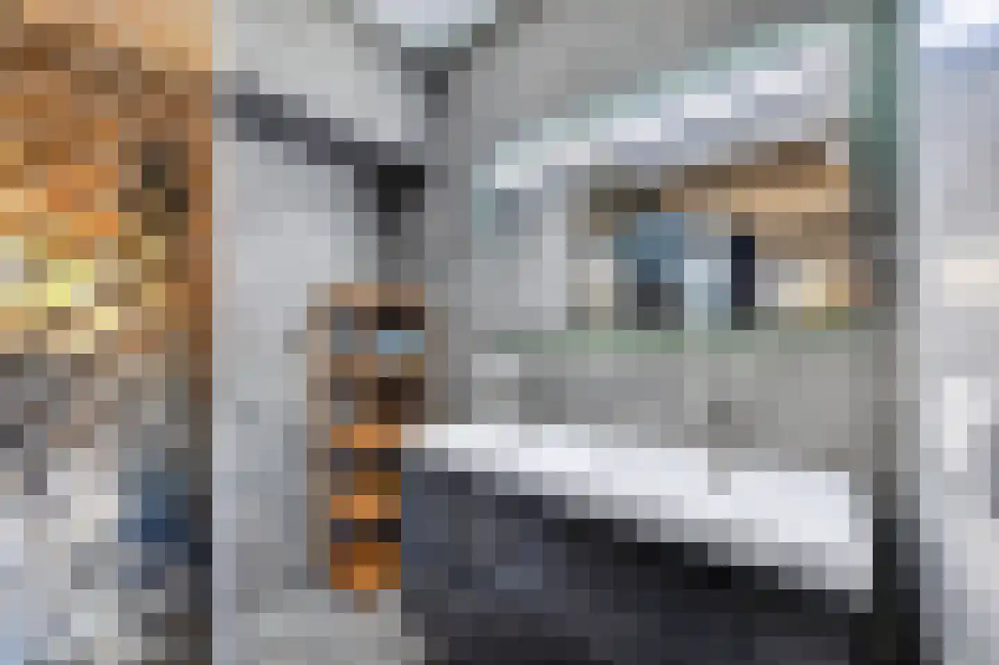 Kniepveen 7 Zwartemeer thumbnail 20