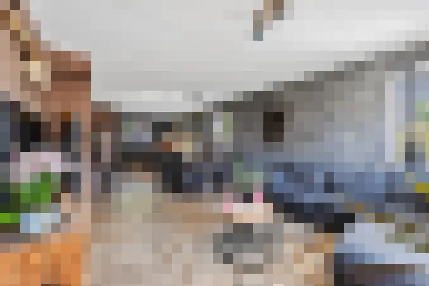 Kniepveen 7 Zwartemeer thumbnail 5