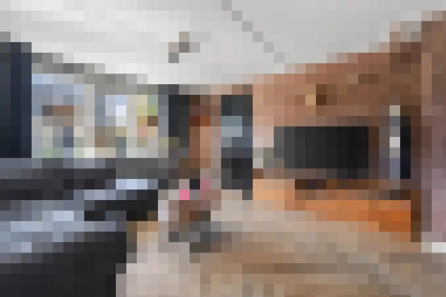 Kniepveen 7 Zwartemeer thumbnail 8