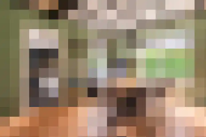 Knijpslaan 10 Kolham foto 2
