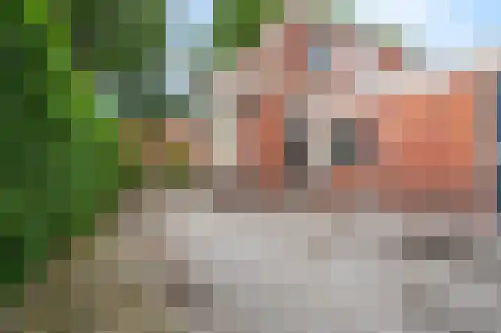 Knijpslaan 10 Kolham thumbnail 23