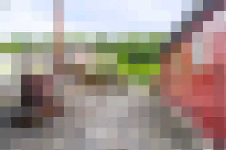 Knijpslaan 10 Kolham thumbnail 25