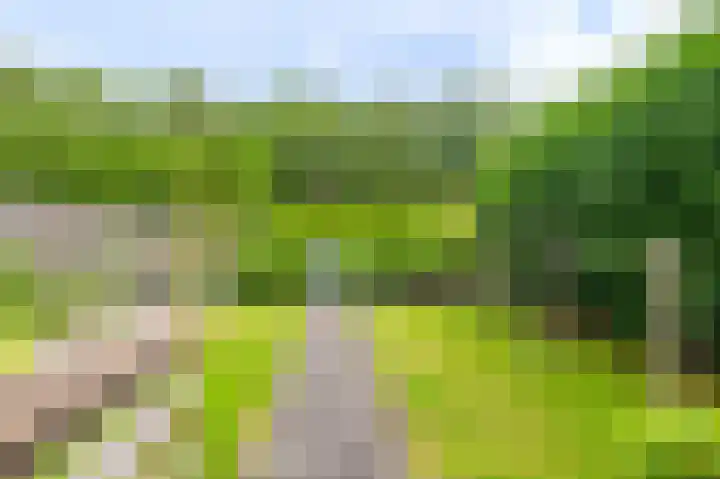 Knijpslaan 10 Kolham thumbnail 27