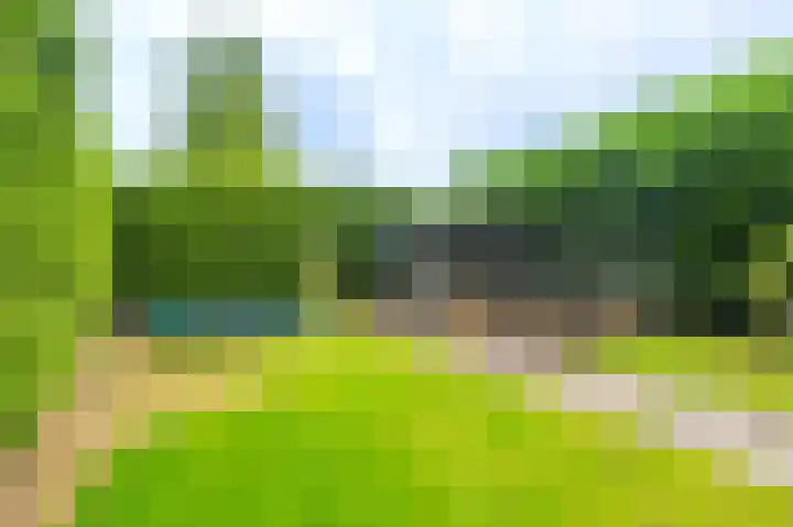 Knijpslaan 10 Kolham thumbnail 30