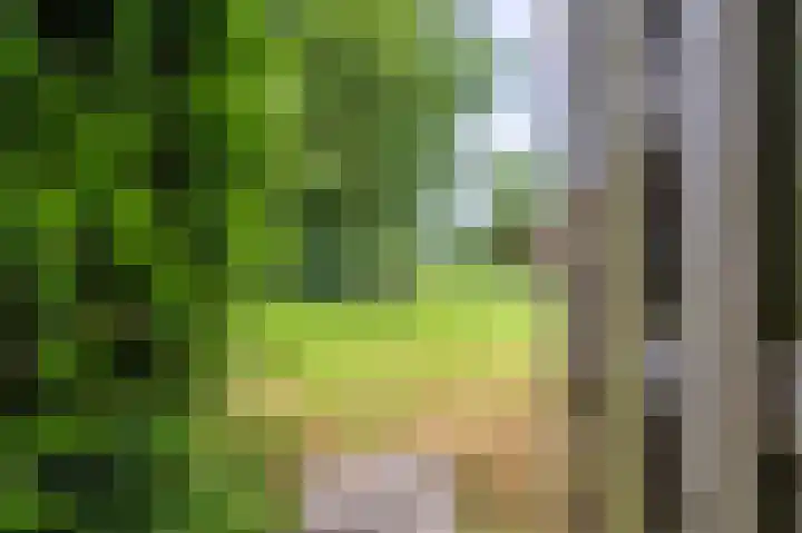 Knijpslaan 10 Kolham thumbnail 32