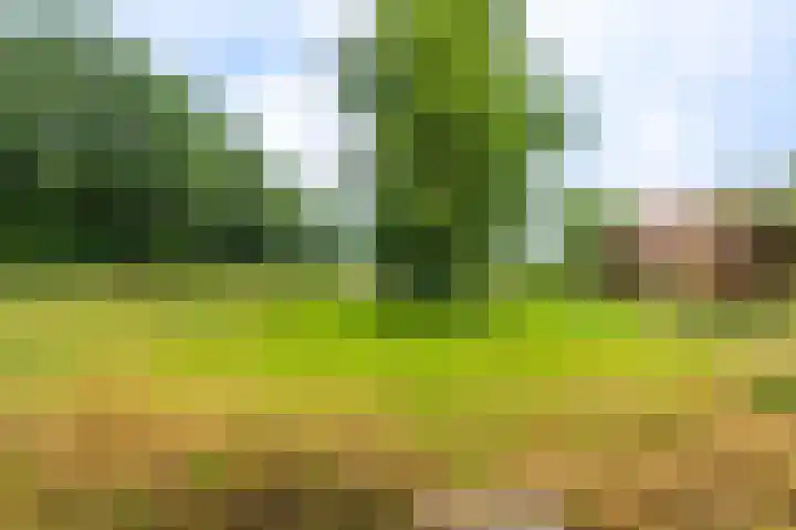Knijpslaan 10 Kolham thumbnail 33