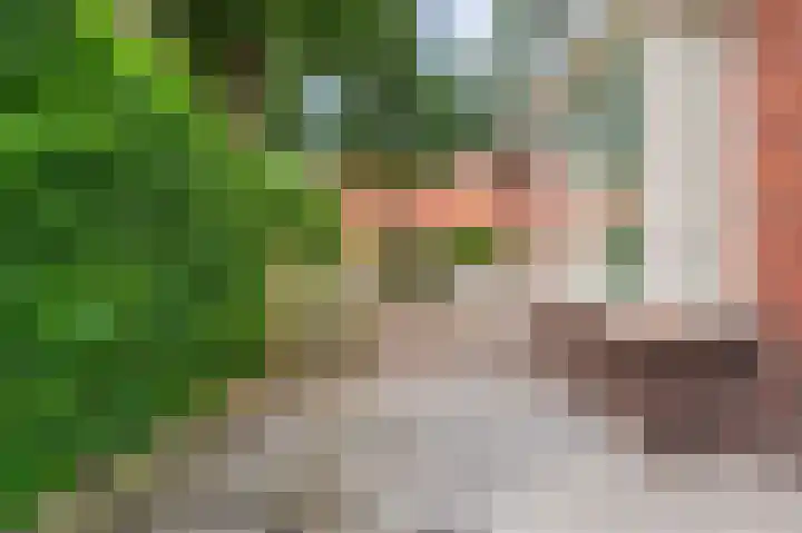 Knijpslaan 10 Kolham thumbnail 34