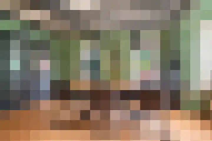 Knijpslaan 10 Kolham thumbnail 4