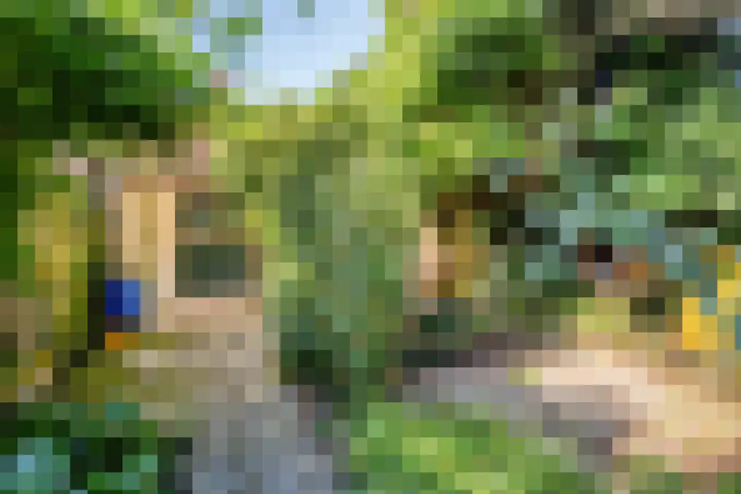 Knijpslaan 12 Hoogezand thumbnail 20